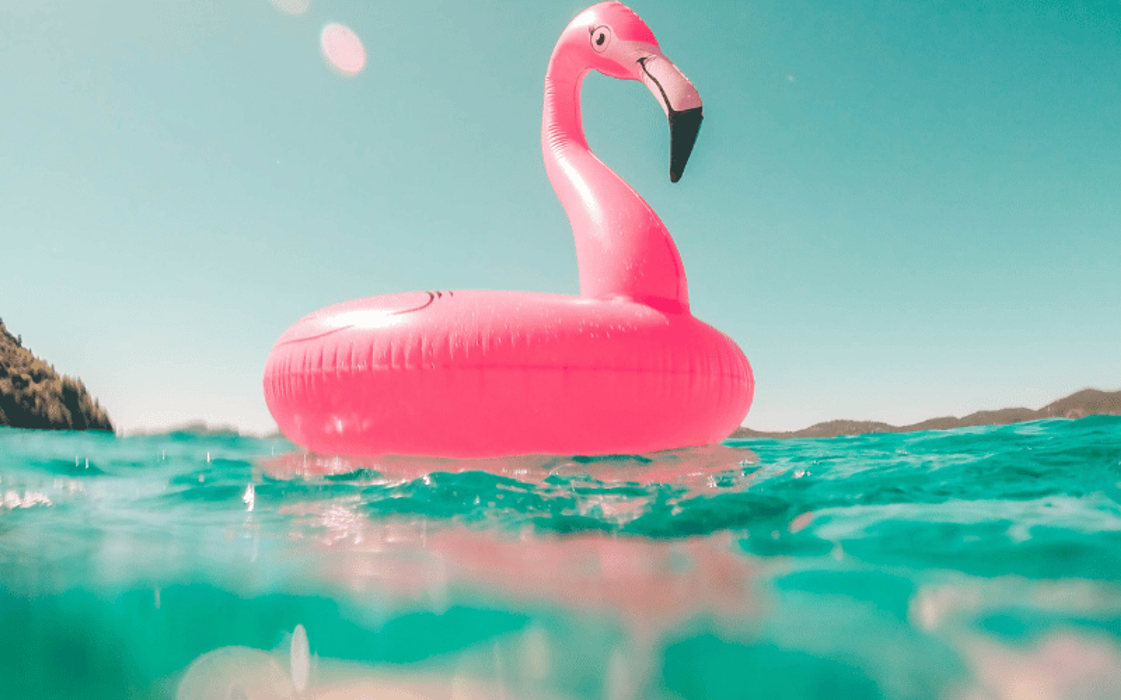 inflatable flamingo