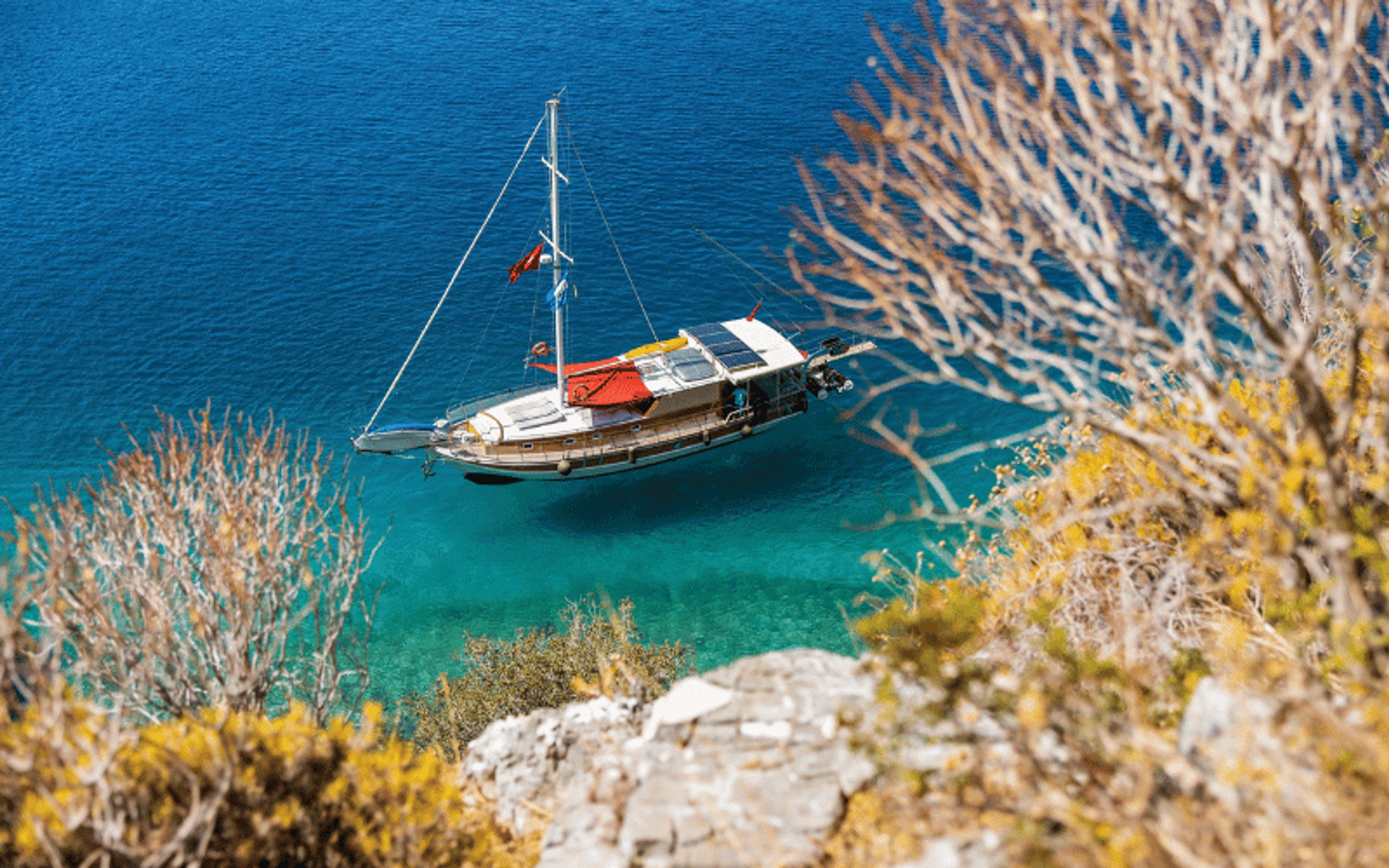 boat tour