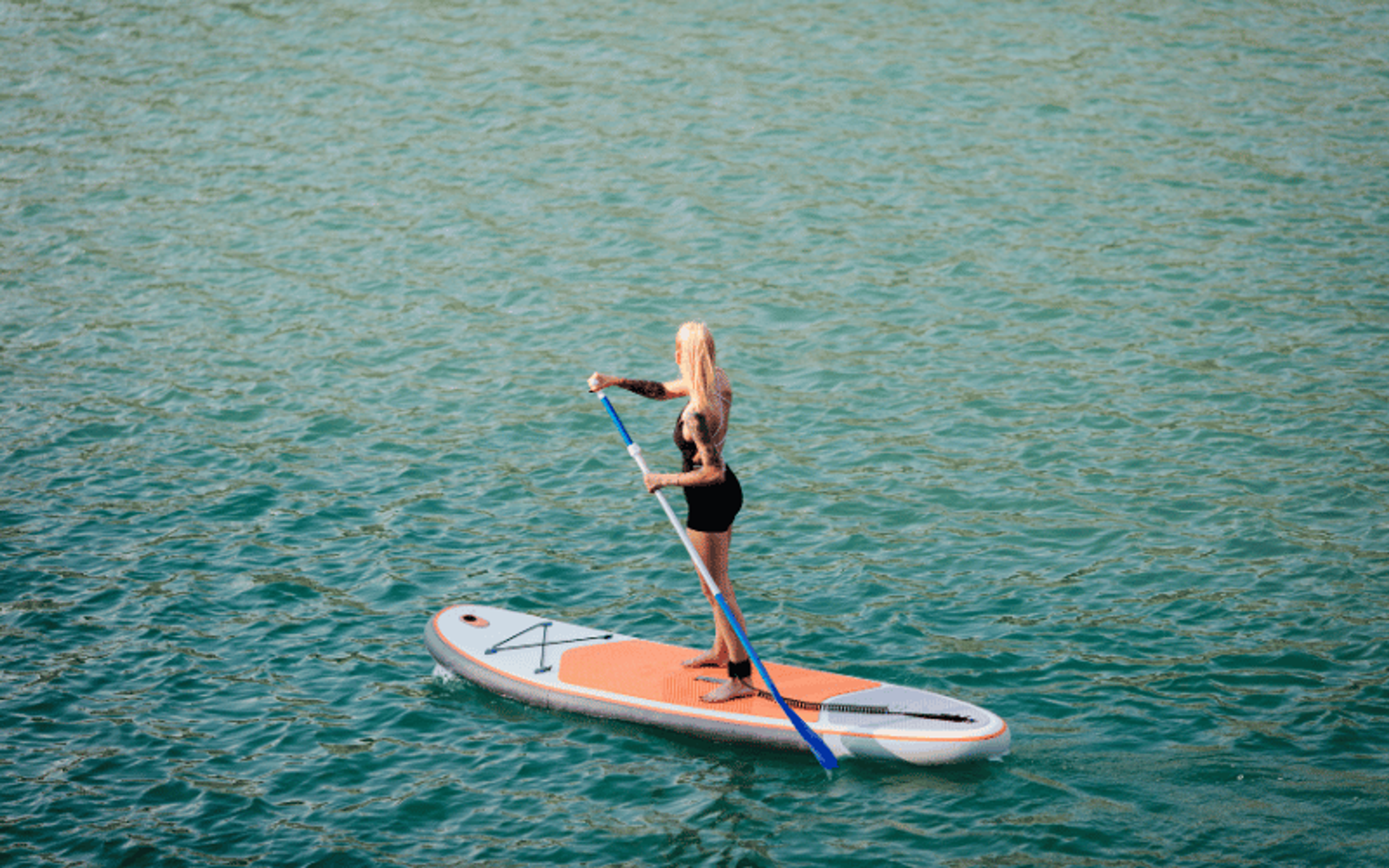 Paddleboard