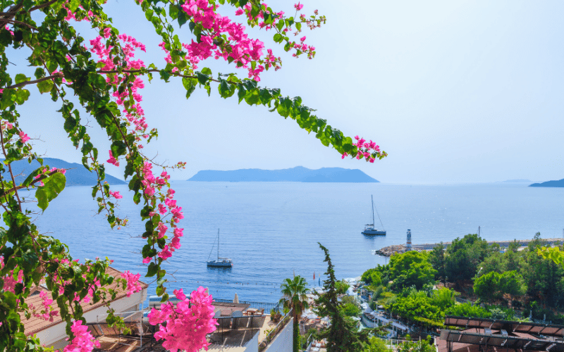 Kaş Boat Tour Guide: From Bougainvillea to Turquoise