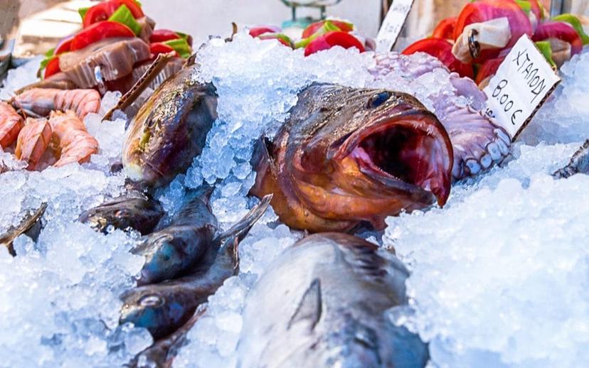 4 Practical Tips for Cooking on a Boat