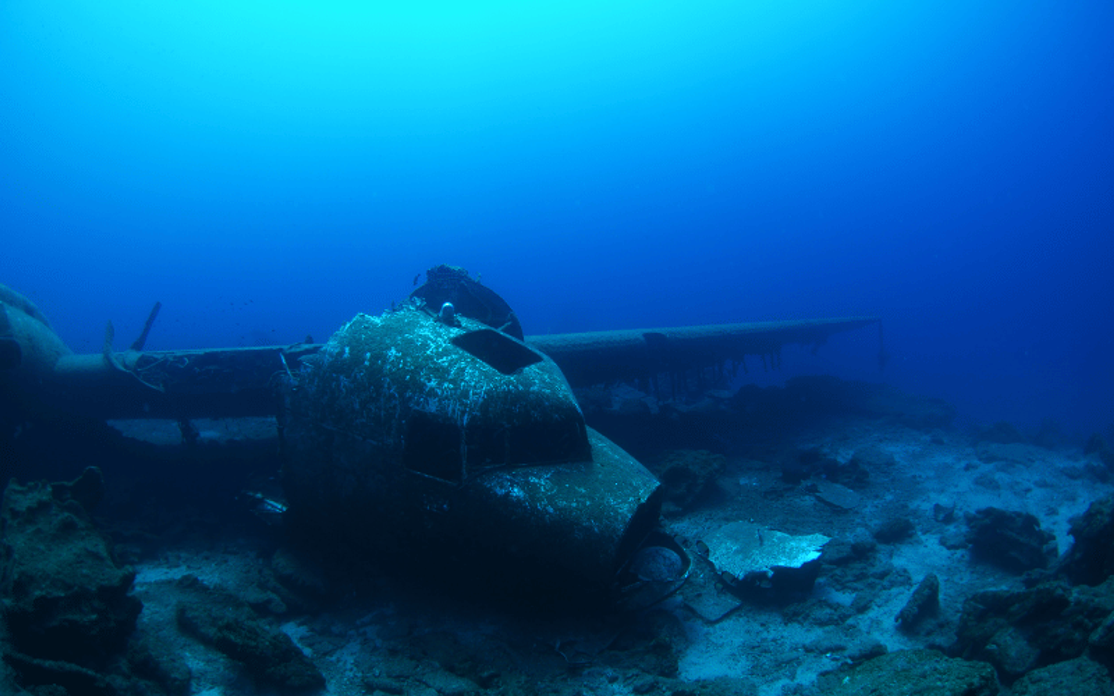 Dakota C-47 airplane wreck
