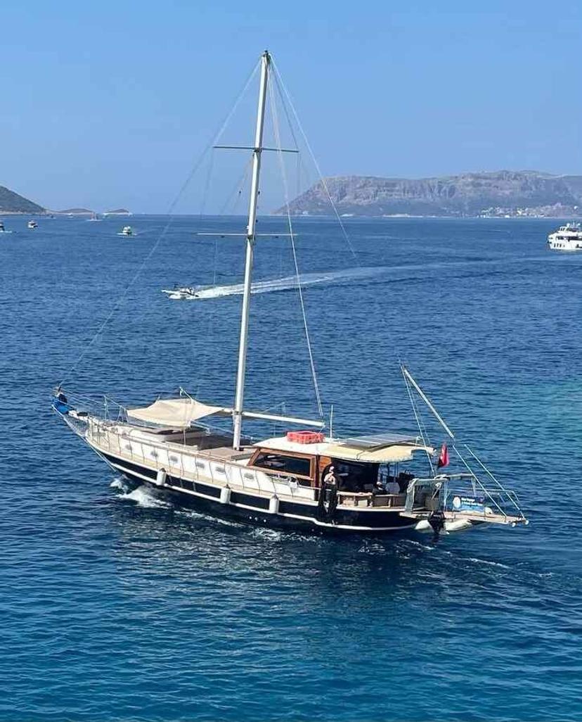 Albatros Q