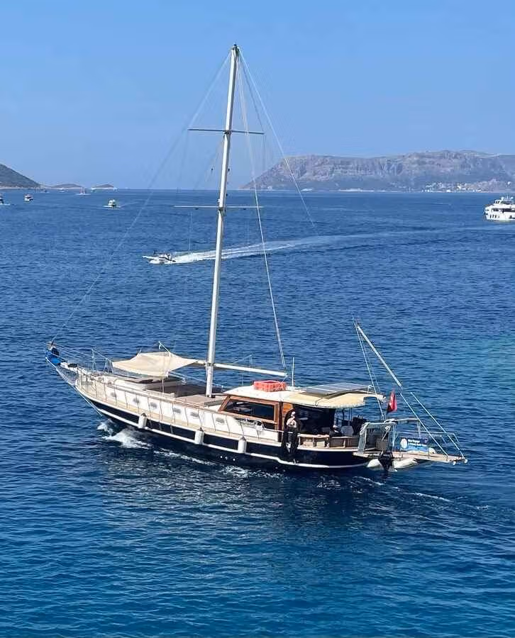 Albatros Q