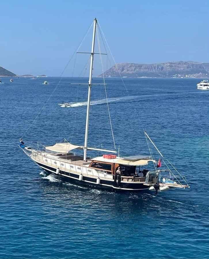 Albatros Q