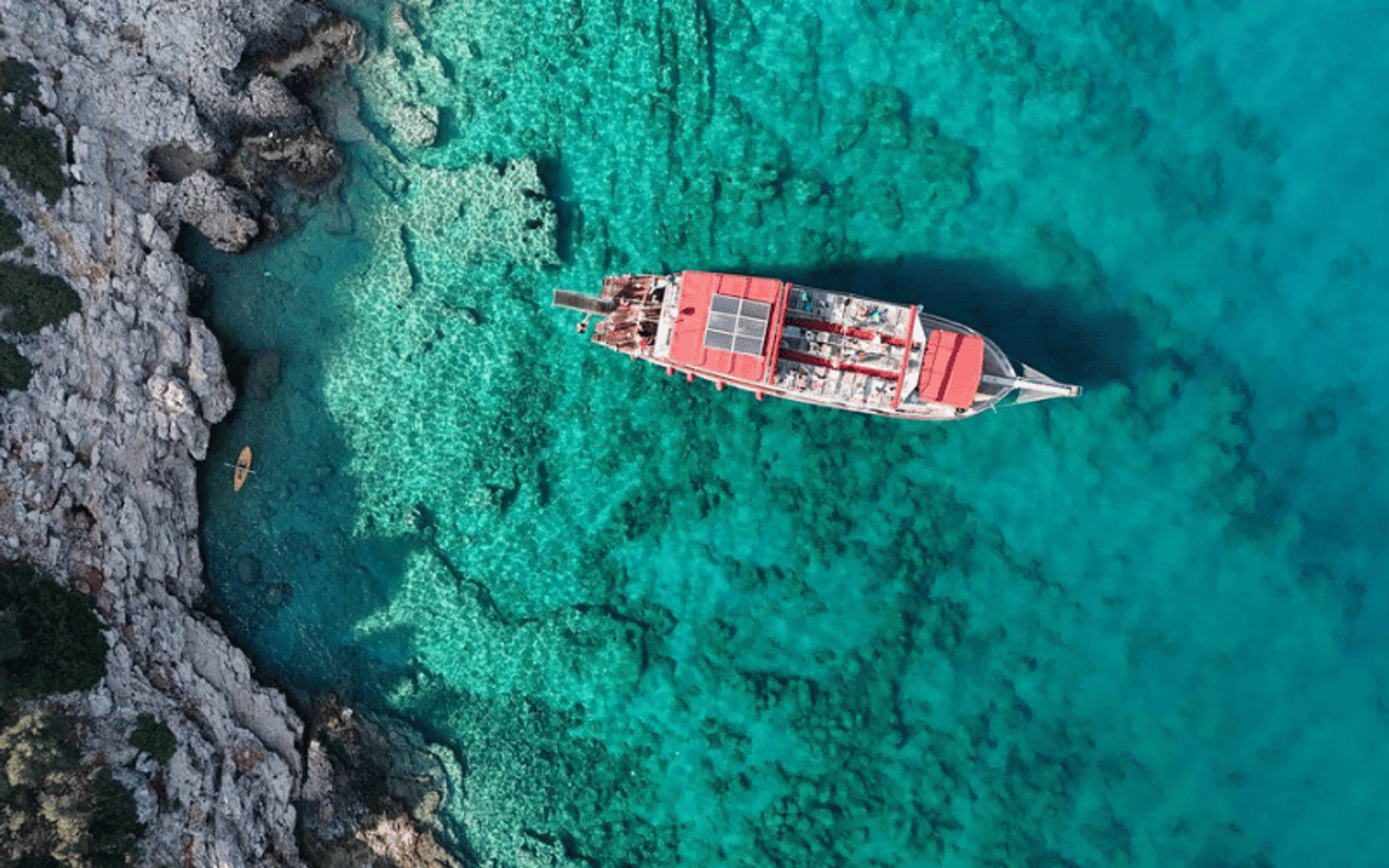 Shared Boat Tour