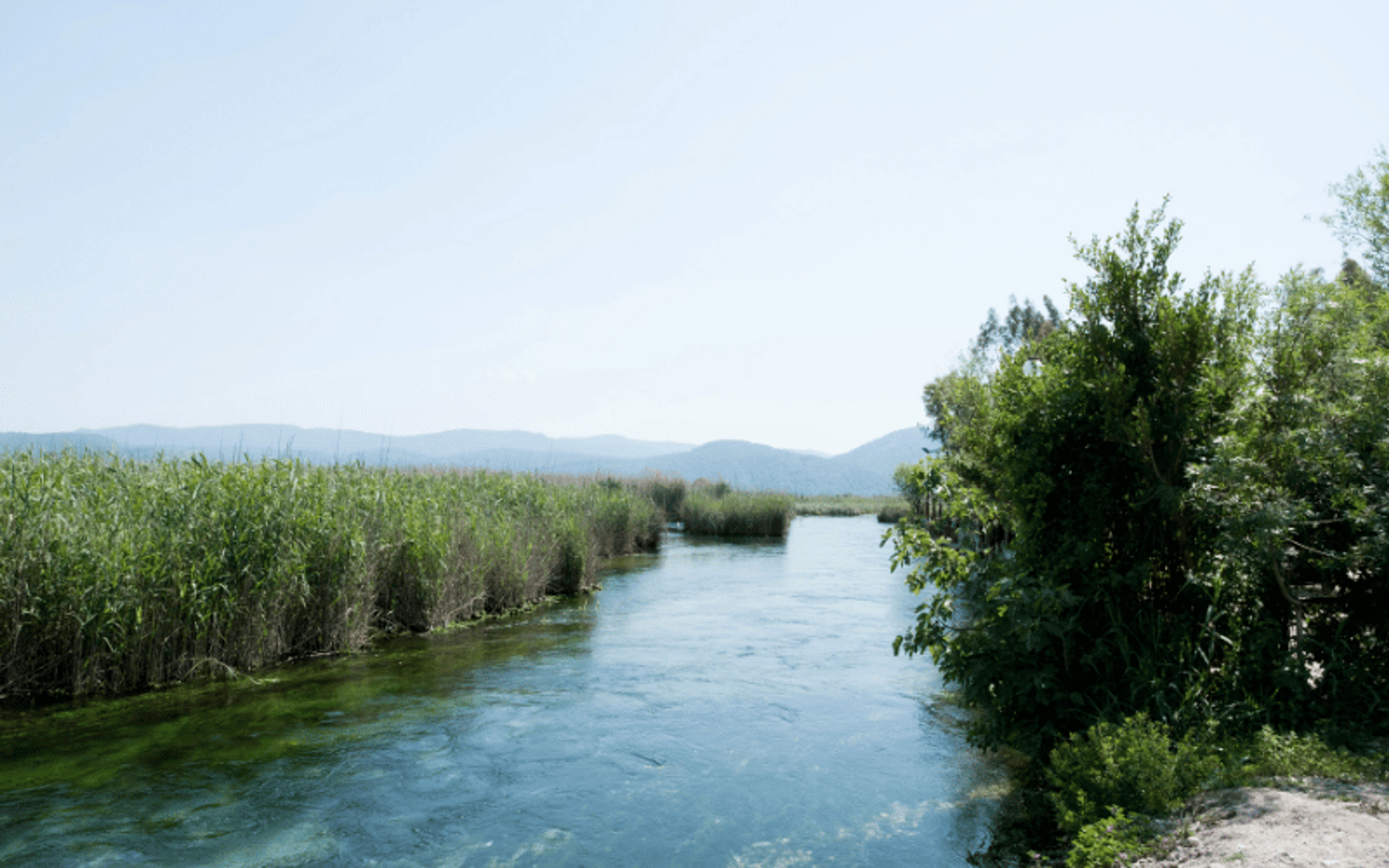 Azmak Nehri