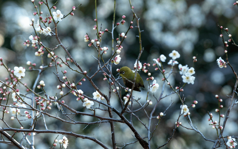 Spring in Kaş: Green, Blue, and Nature (February & March Guide)